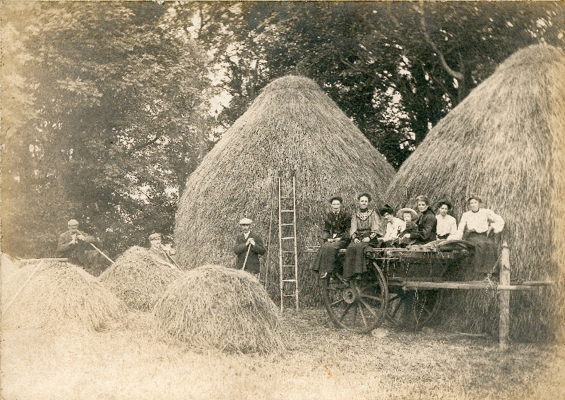 Original image