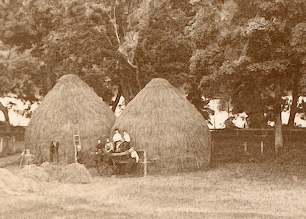 Original image