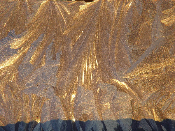 DSC00675.JPG