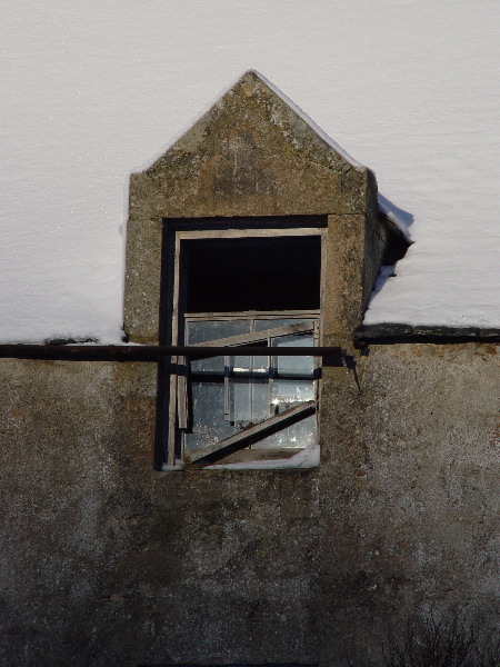 DSC00699.JPG