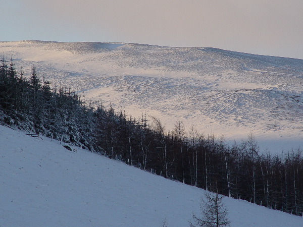 DSC00570.JPG