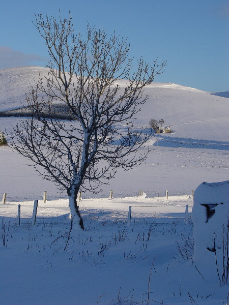 DSC00579.JPG