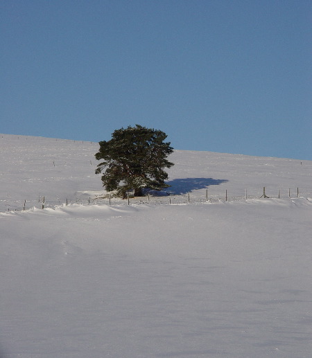 DSC00606.JPG