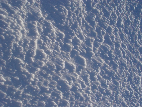 DSC00622.JPG