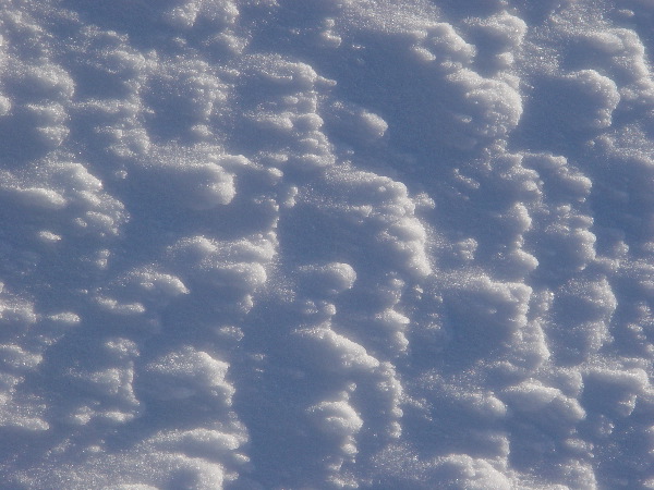 DSC00623.JPG