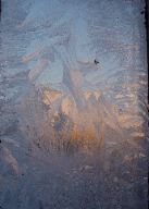 DSC00676.JPG