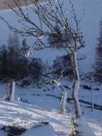 DSC00590.JPG
