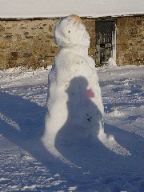DSC00598.JPG