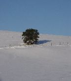 DSC00606.JPG