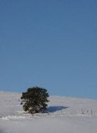 DSC00607.JPG