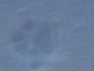 DSC00608.JPG