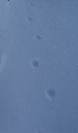 DSC00611.JPG