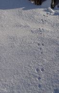 DSC00614.JPG