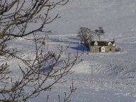 DSC00696.JPG