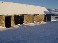 DSC00575.JPG