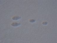 DSC00582.JPG
